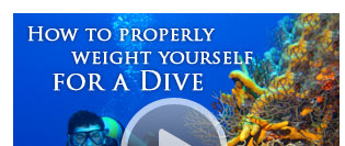 how to properly weight yourself for a dive video